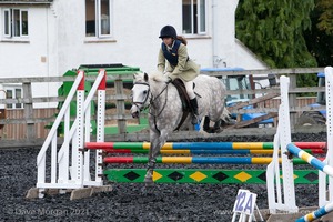 Class 6 - Fences not above 2'9